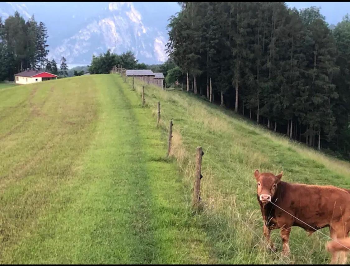 Hébergement de vacances Am Traunsee Mit Bergsicht